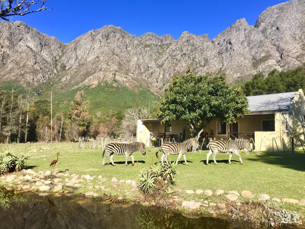 Franschhoek Country Cottages Extérieur photo